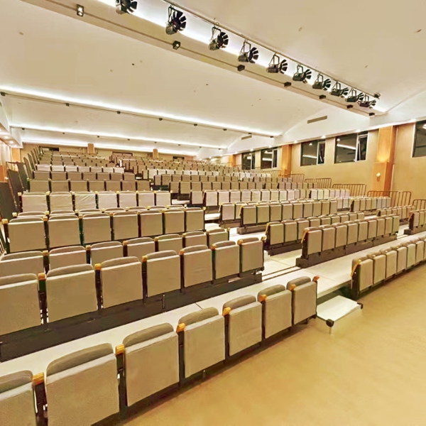 Rear-Mounted Upholstered Auditorium Seat